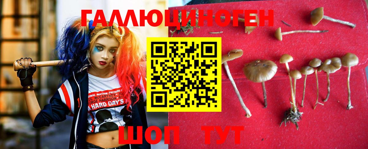 Галлюциногенные грибы мухоморы Новошахтинск